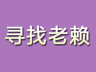 新野寻找老赖